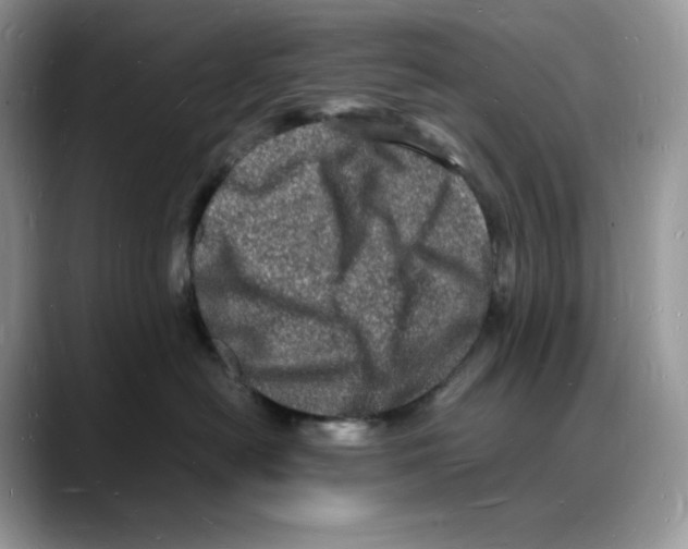 X0000088030478200706081505