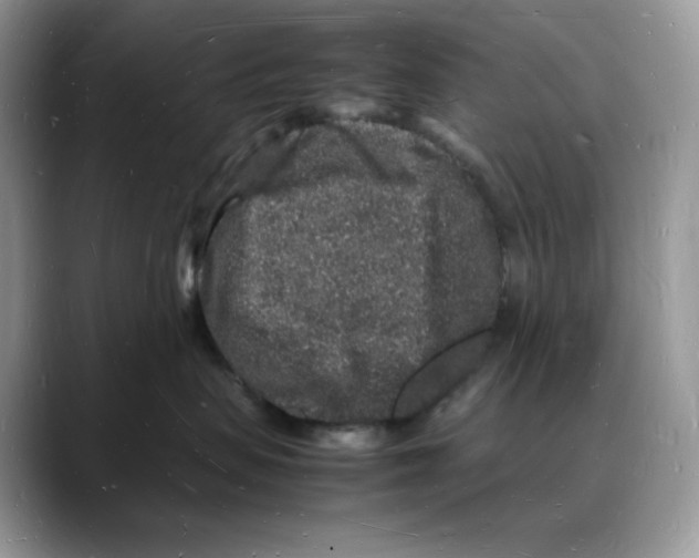 X0000088030479200706081505