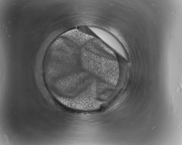 X0000088030481200706081504
