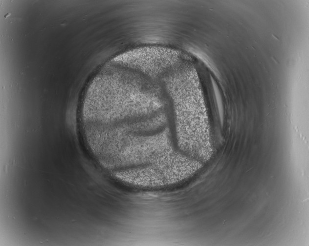 X0000088030482200706081504