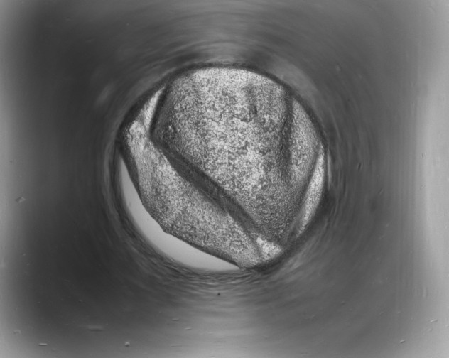 X0000088030483200706081504