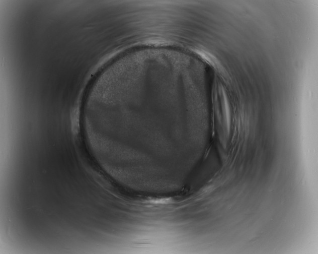 X0000088030484200706081504