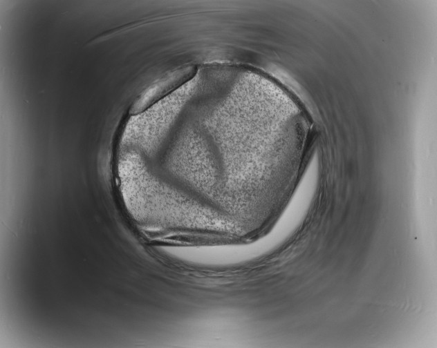 X0000088030485200706081504