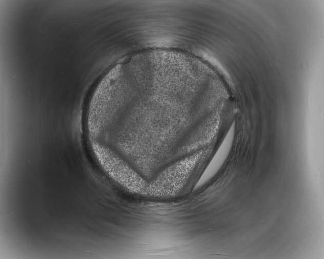 X0000088030486200706081504