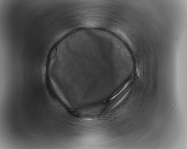X0000088030488200706081504