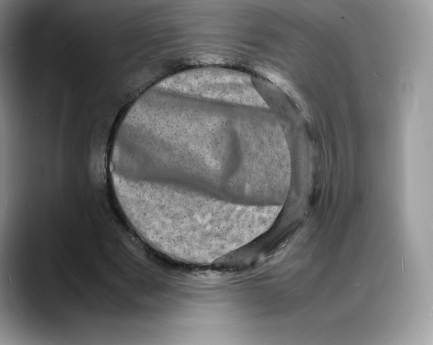 X0000088030489200706081504