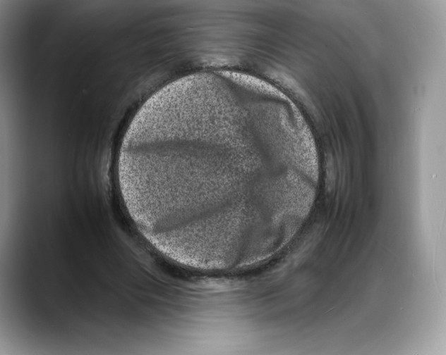 X0000088030490200706081504