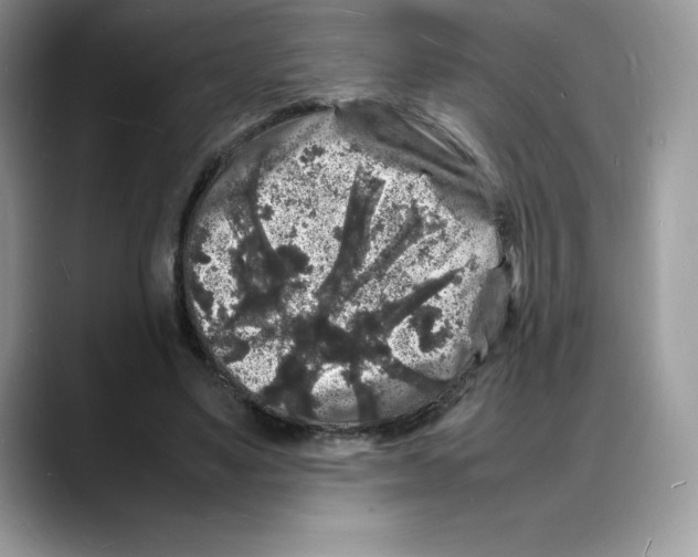 X0000088030491200706081504