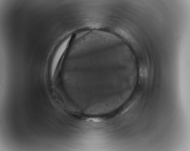 X0000088030492200706081504