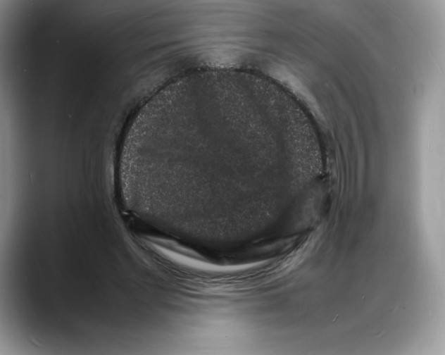 X0000088030493200706081504