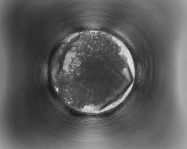 X0000088030494200706081504