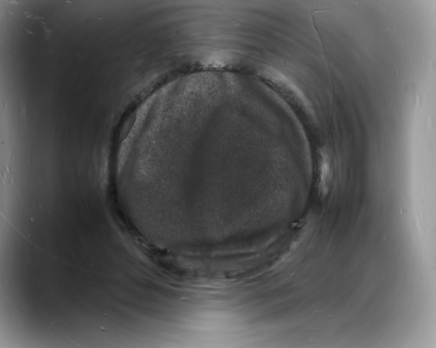 X0000088030496200706081504