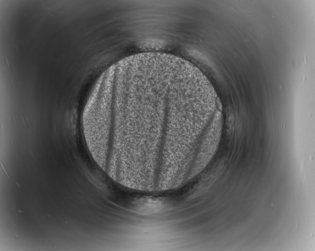 X0000088030498200706081504