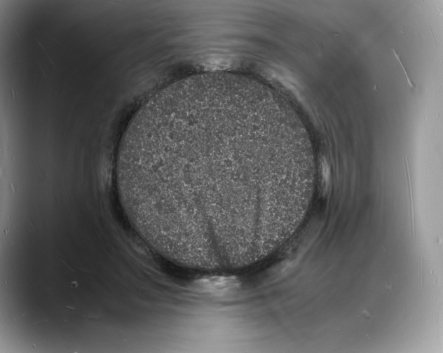 X0000088030499200706081504
