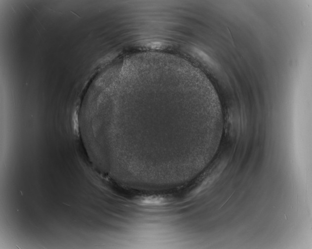 X0000088030500200706081504