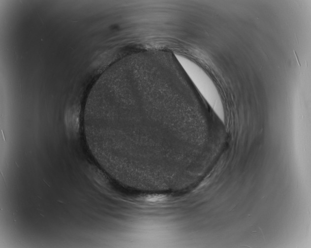 X0000088030501200706081504