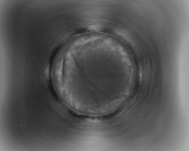 X0000088030502200706081504