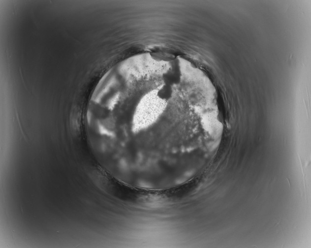 X0000088030503200706081504