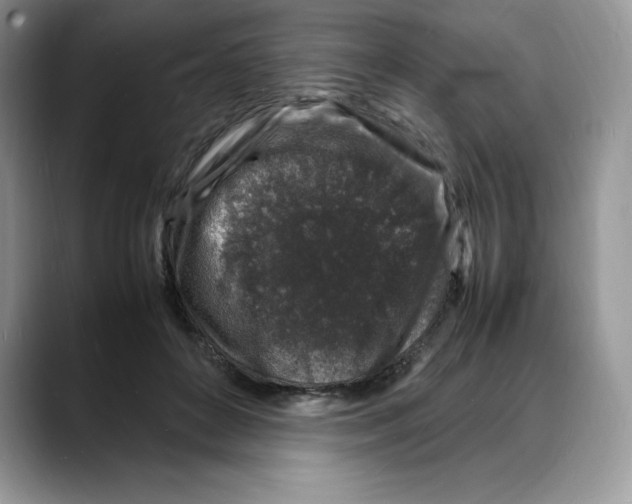 X0000088030504200706081504