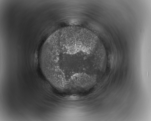 X0000088030506200706081504
