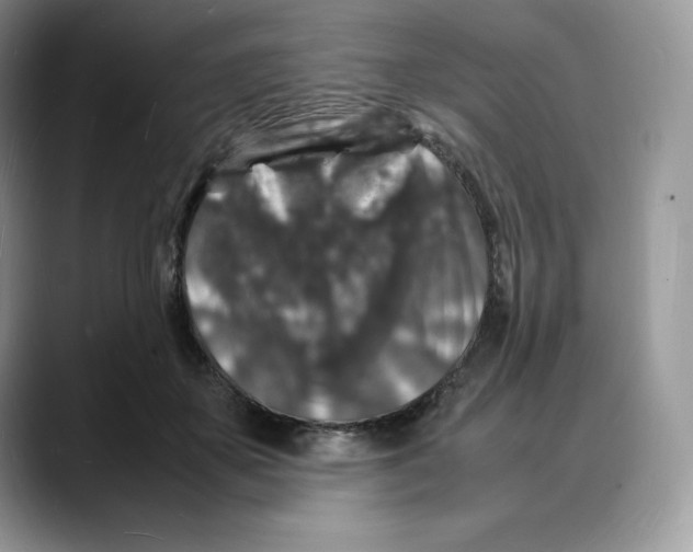 X0000088030507200706081504