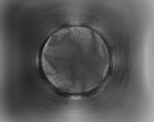X0000088030508200706081504
