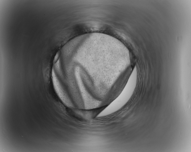 X0000088030509200706081504