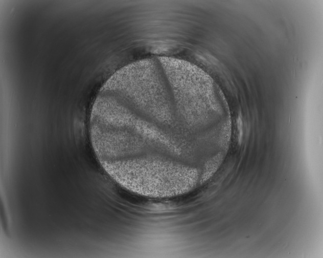 X0000088030510200706081504