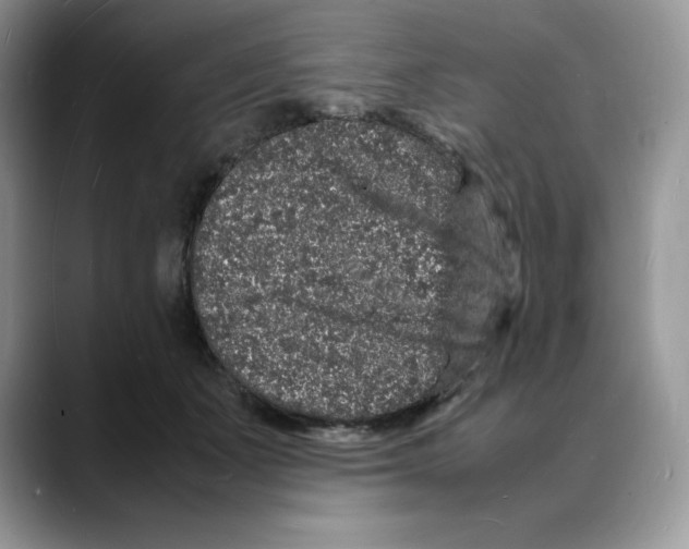 X0000088030511200706081504