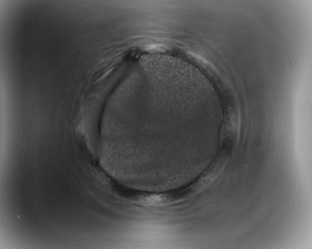 X0000088030513200706081504
