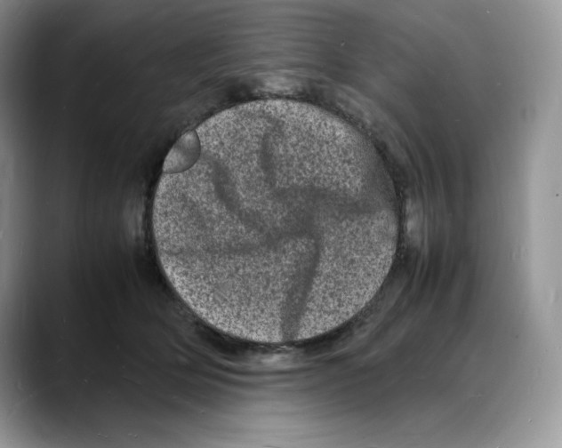 X0000088030514200706081504