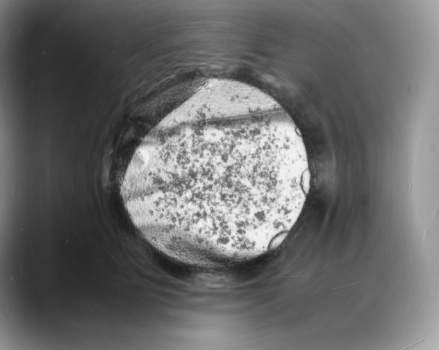 X0000088030515200706081504