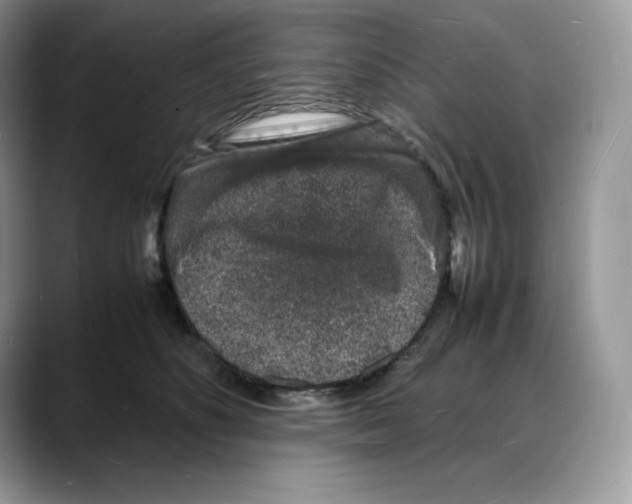 X0000088030516200706081504