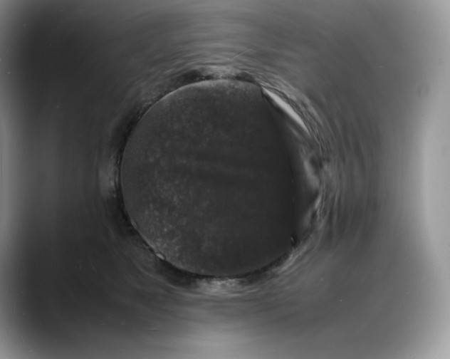 X0000088030517200706081504
