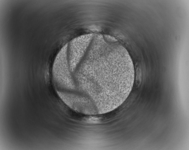 X0000088030518200706081504