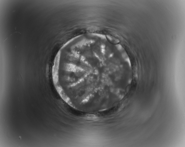X0000088030519200706081504