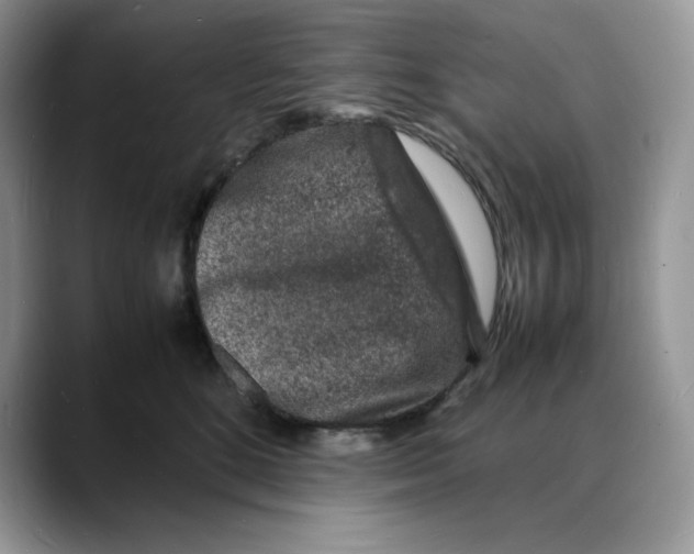 X0000088030520200706081504