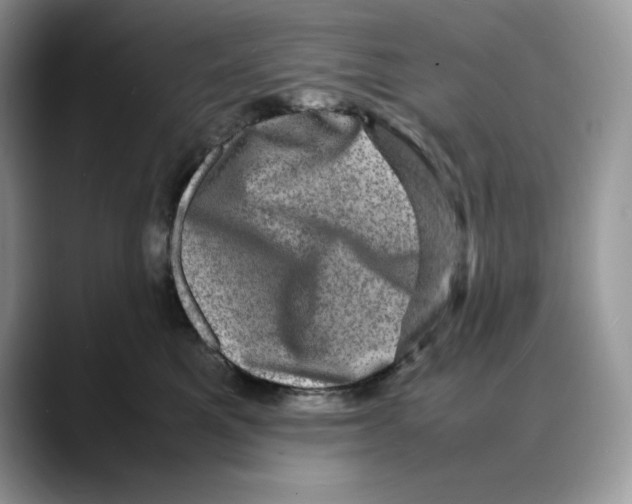 X0000088030521200706081504