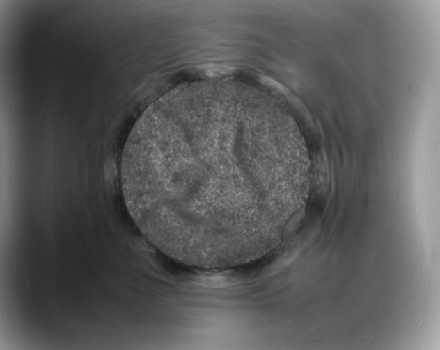 X0000088030523200706081504