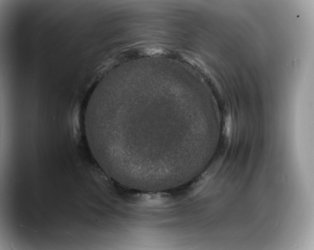 X0000088030524200706081504