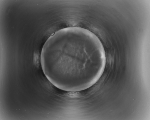 X0000088030526200706081504