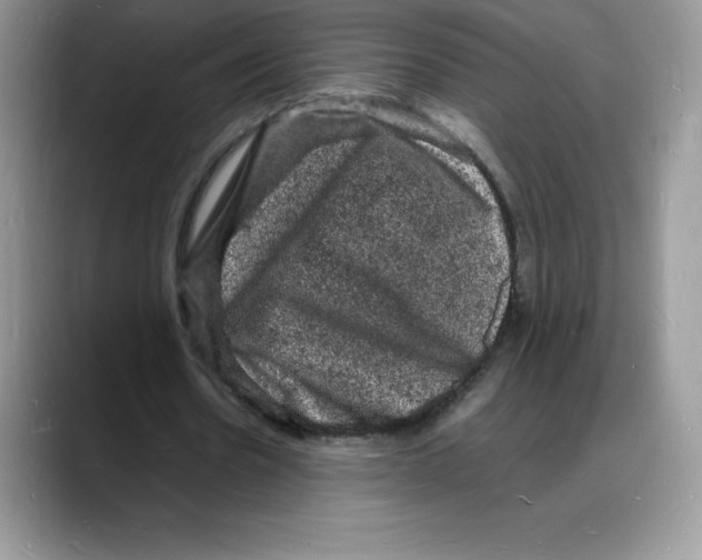 X0000088030530200706081503