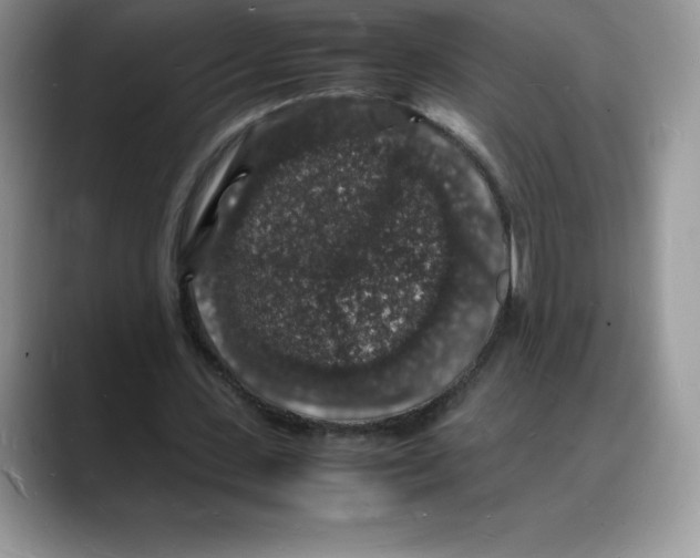 X0000088030531200706081503