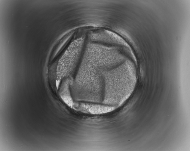 X0000088030532200706081503