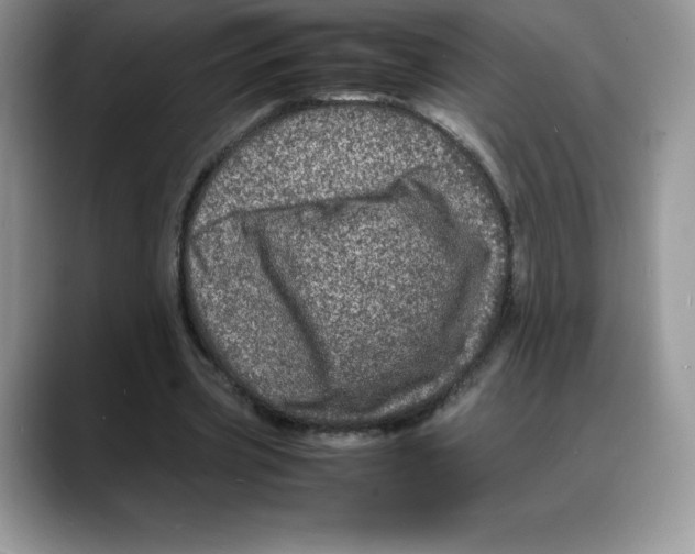 X0000088030533200706081503