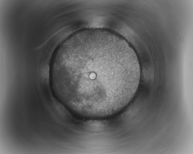 X0000088030534200706081503