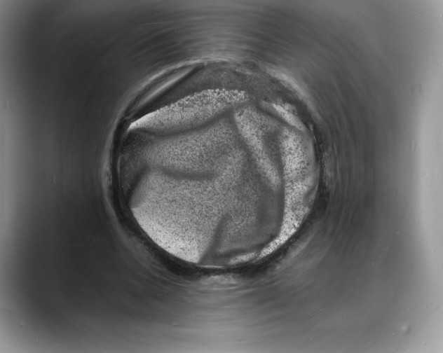 X0000088030536200706081503