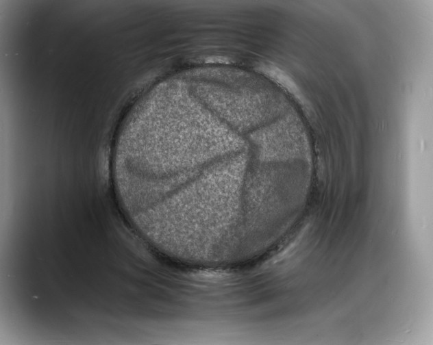 X0000088030537200706081503