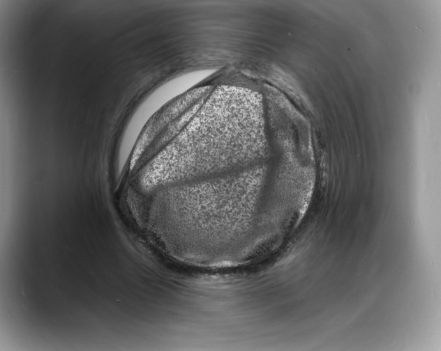 X0000088030538200706081503