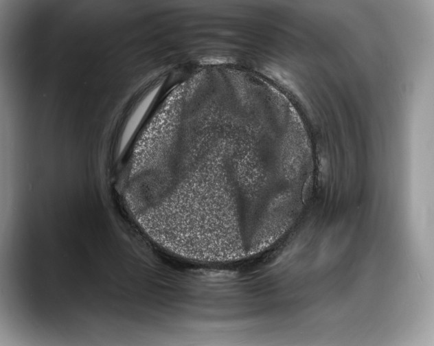 X0000088030539200706081503
